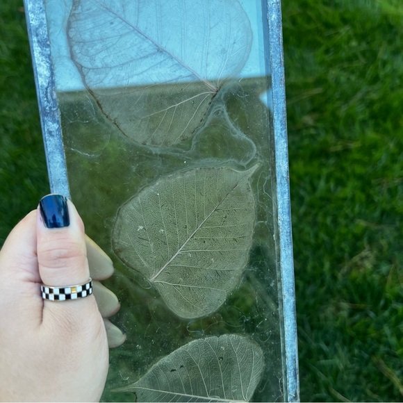 Dried Skeleton Leaves Pressed in Glass Framed Skeletonized Leaves Clear Glass - Picture 5 of 12
